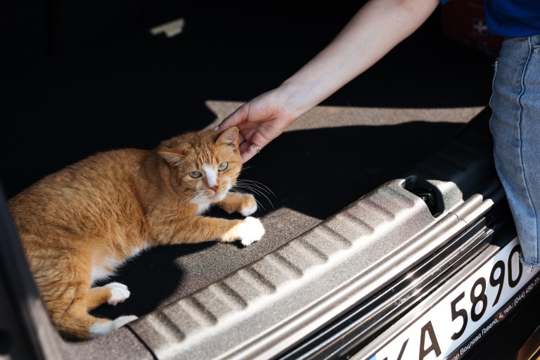 happypaw